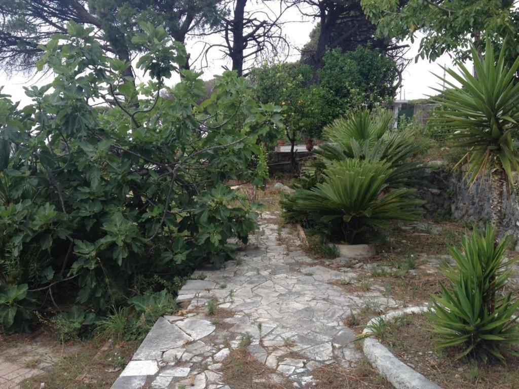 Villa Gianna - Housity