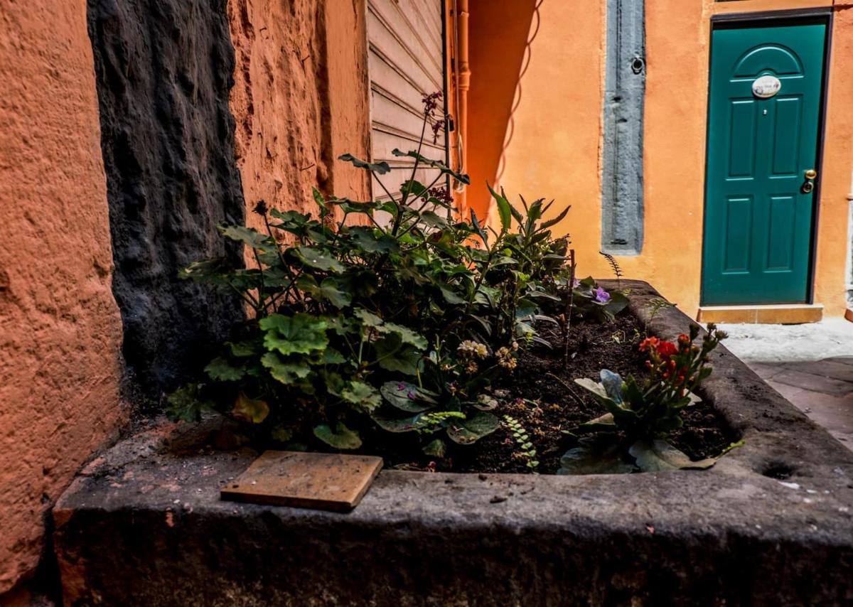 Little House Napoli - Housity