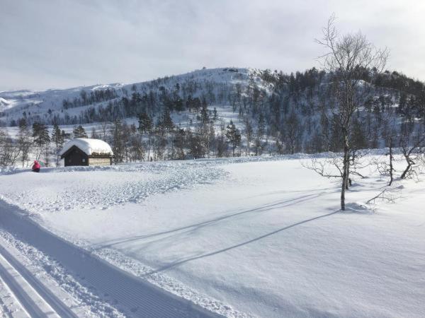 Kvamseter Lodge - Mountain Apartments - Housity