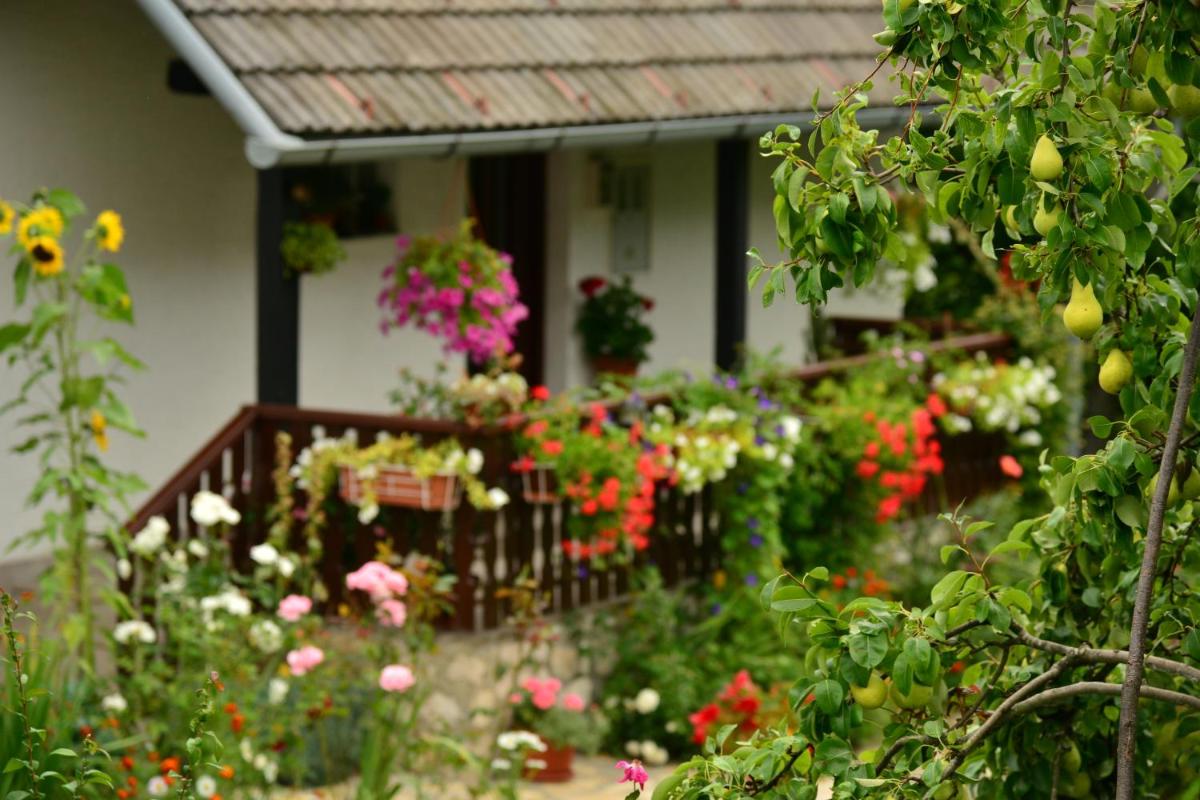 House Nina - Housity