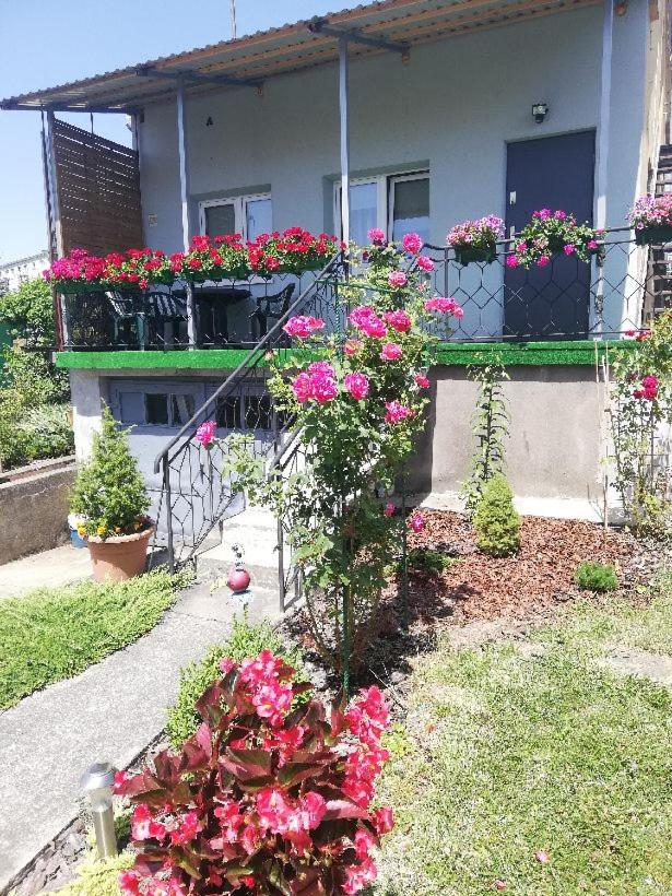 Noclegi na Kazimierza - Housity