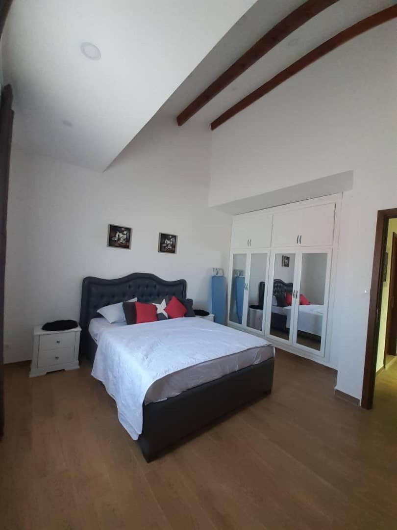 Appartement L Algeroise - Housity