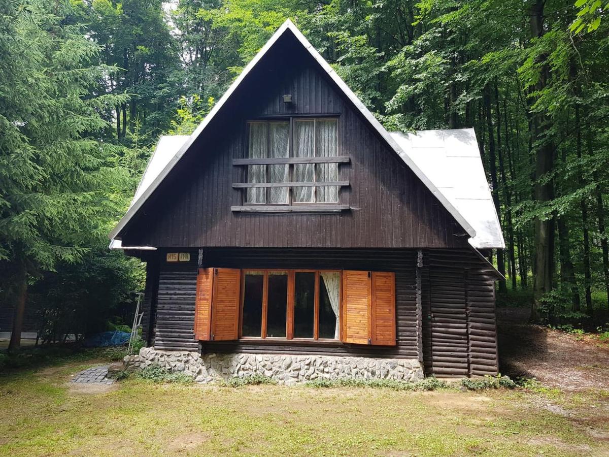 Slovak cottage near Bratislava in the heart of the Carpathians - Housity