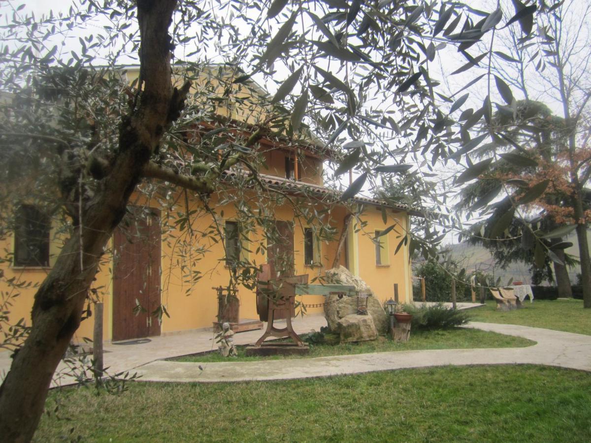 Fattoria Bertaccini - Housity
