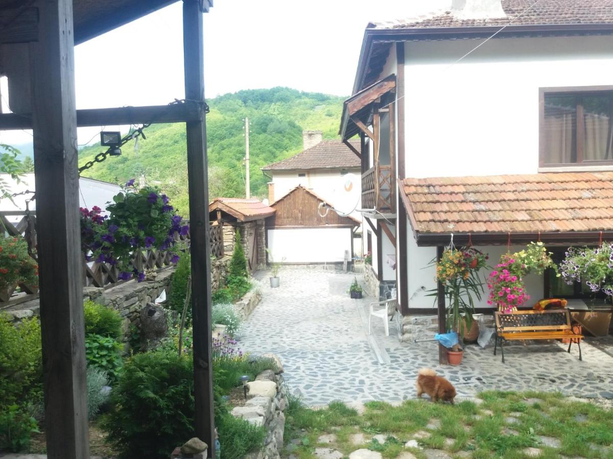 Velinata kshcha - Housity