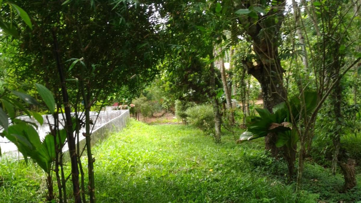 Philip Mary Farm Stay - Housity