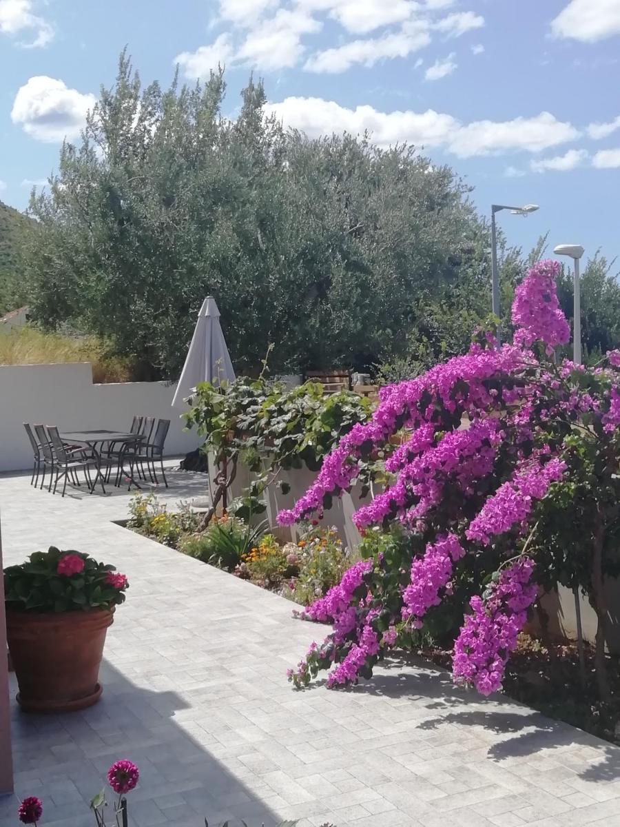 APARTMENT ELI - SEA VIEW - Housity