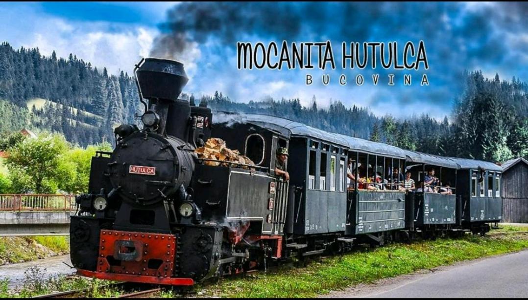 Moldi Moldovita - Housity