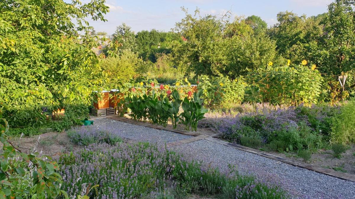 Agroturystyka u Joli - Housity