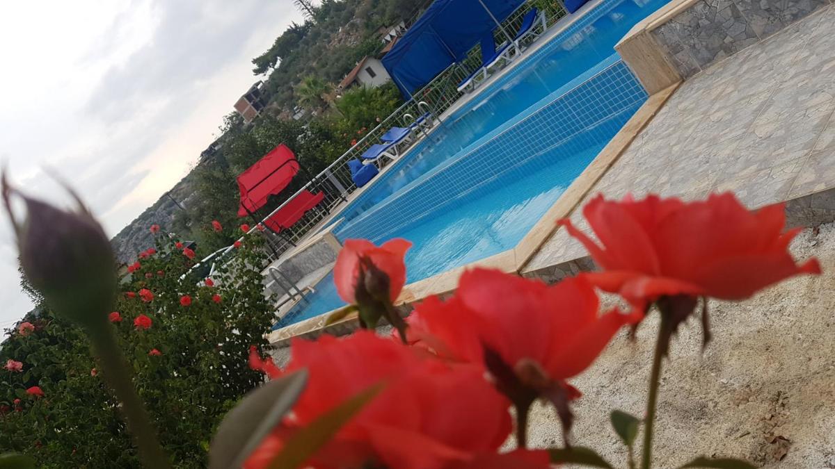 Rose Hotel B&B - Housity