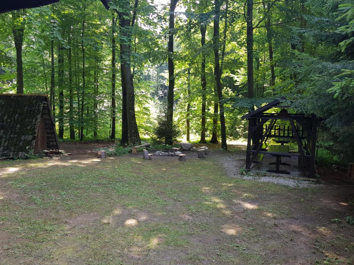Slovak cottage near Bratislava in the heart of the Carpathians - Housity