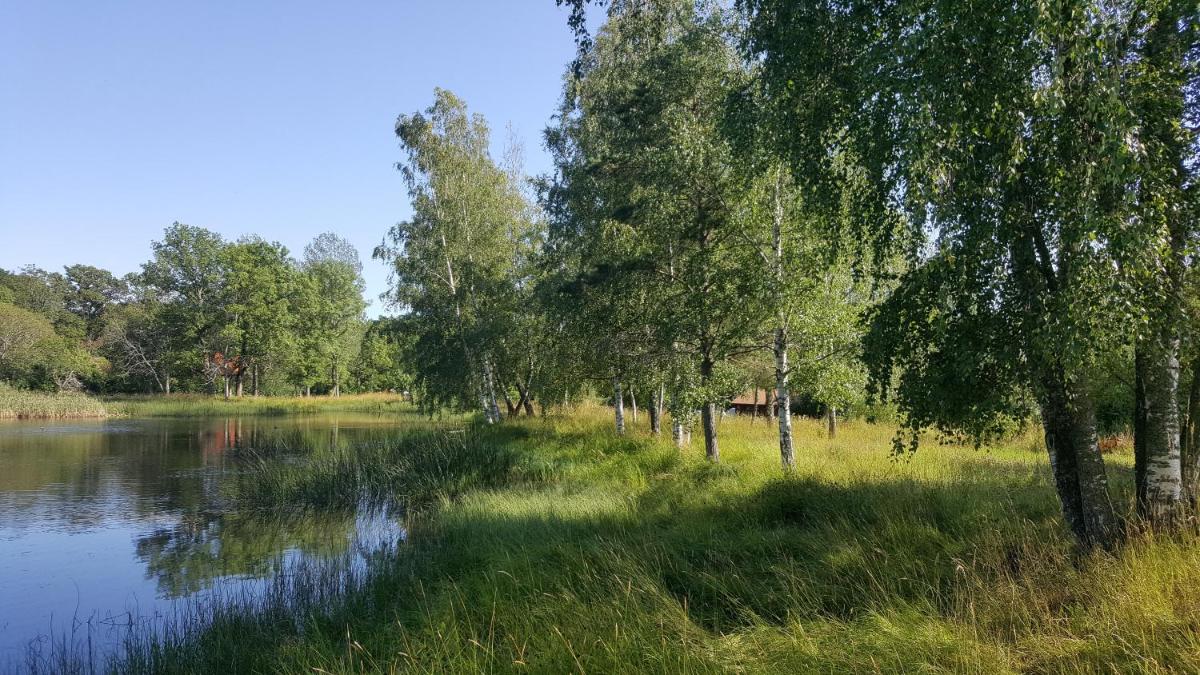 Sollyan - Housity