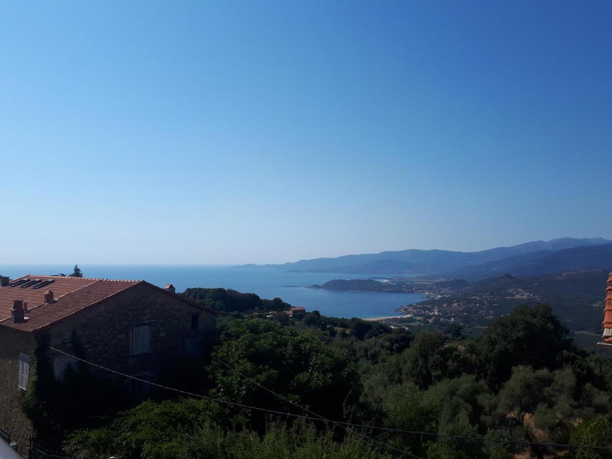 Suitetrails - Corse Calcatoggio location Appart pour 2 pers avec terrasse 5 kms des Plages