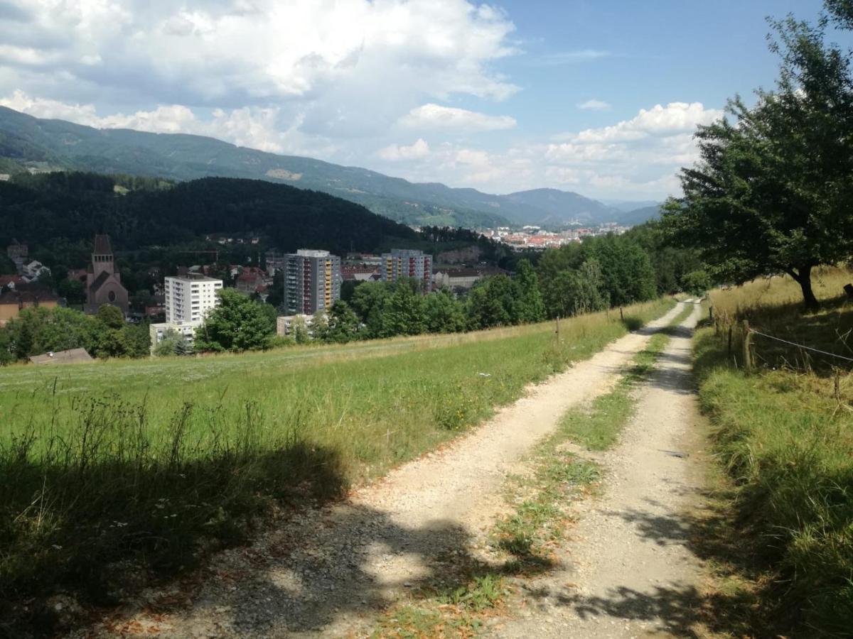 Privatzimmer Wagner - Housity