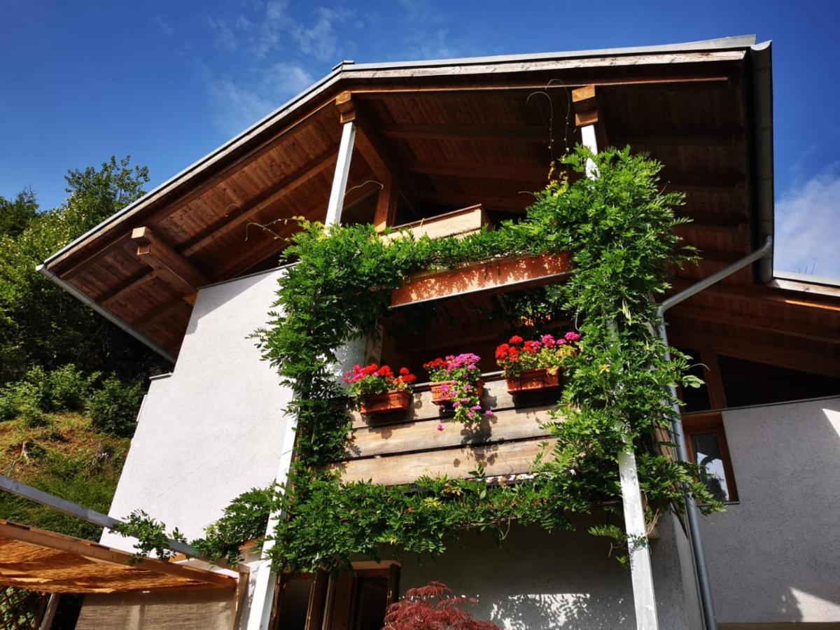 Suitetrails - MinaVill La Casa Sulle Dolomiti