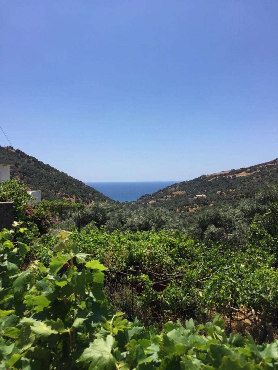 Saint George Hotel - Housity