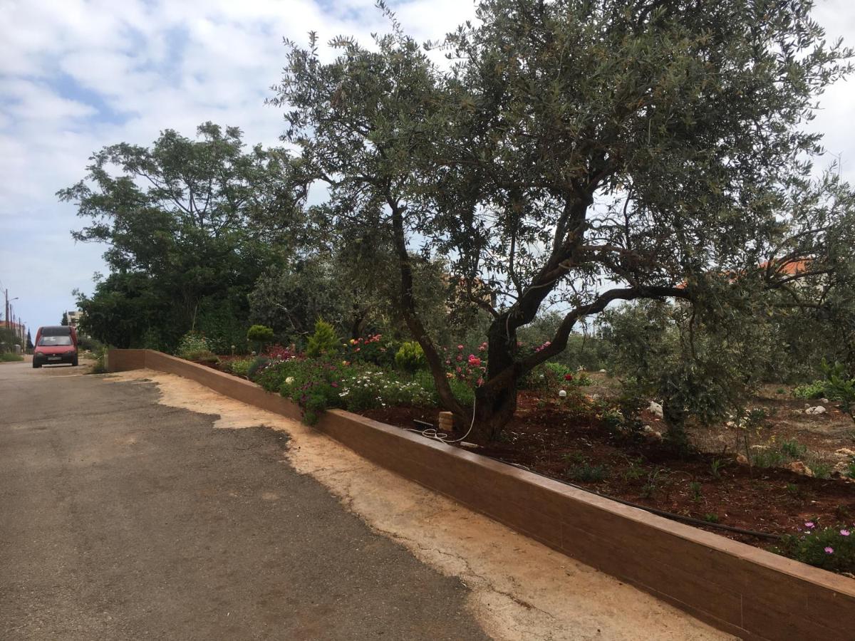 Koura Nahla Apartment - Housity