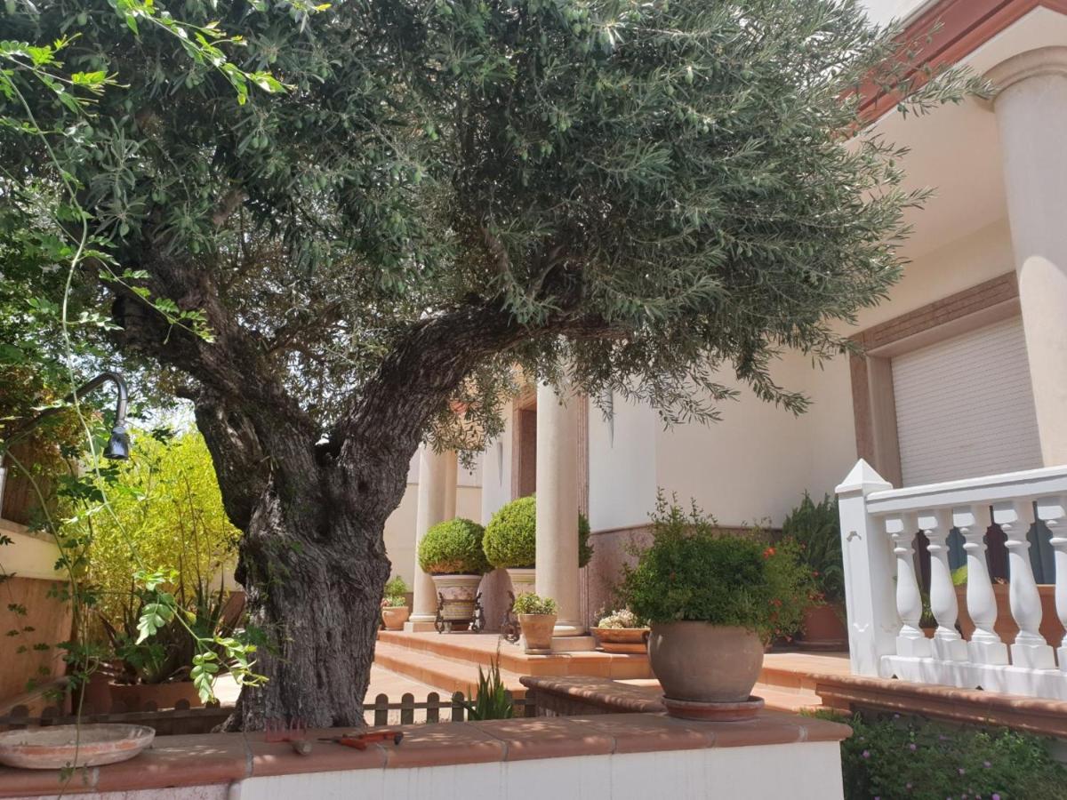 Alojamiento El Olivo - Housity