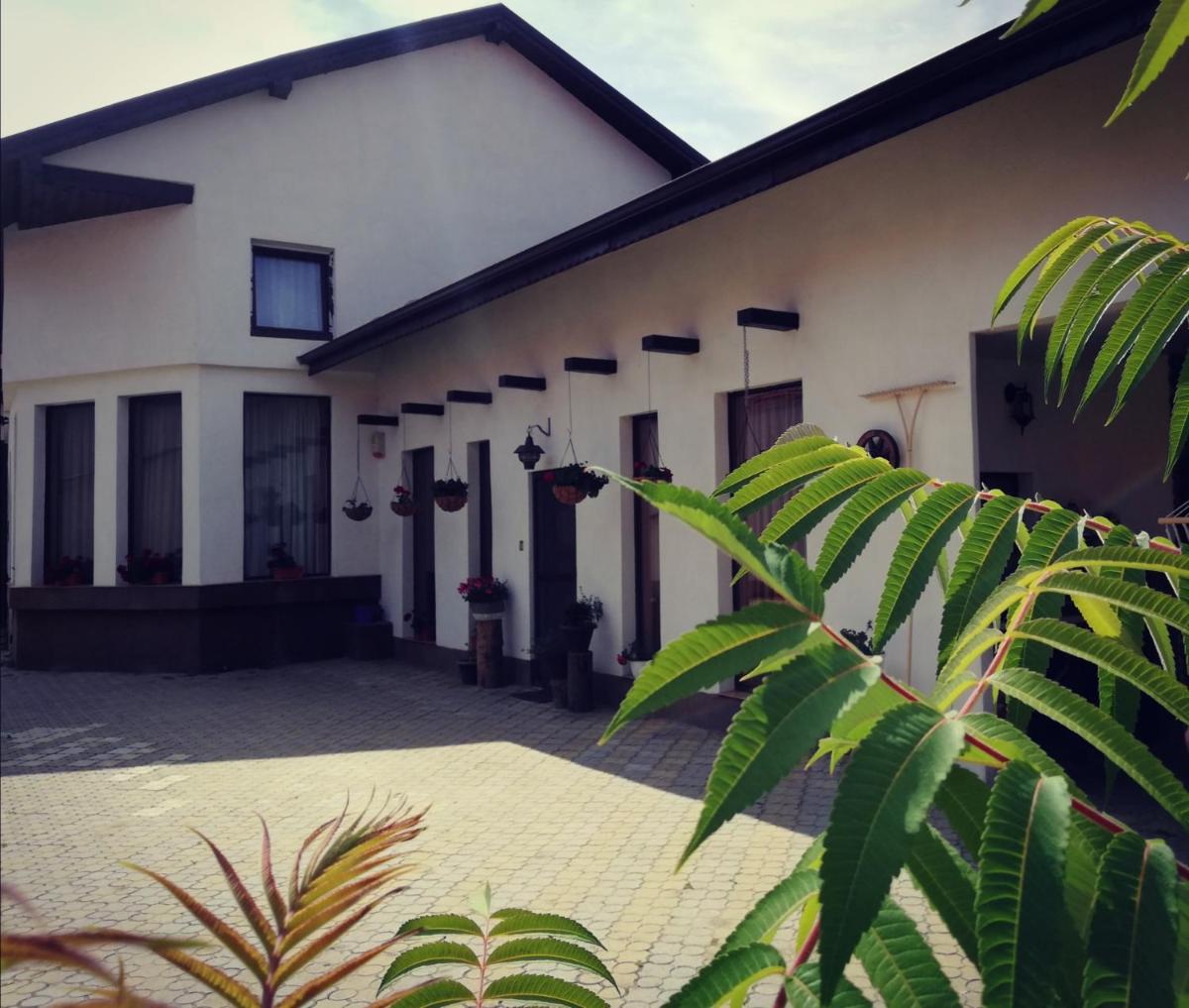 Dridif 135 - Housity