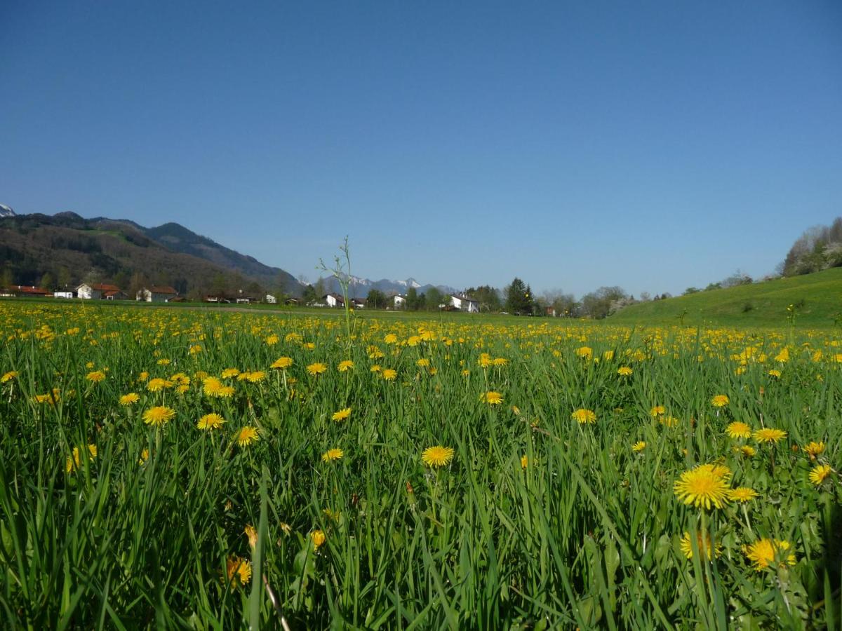 Suitetrails - Apartment Schellenberg