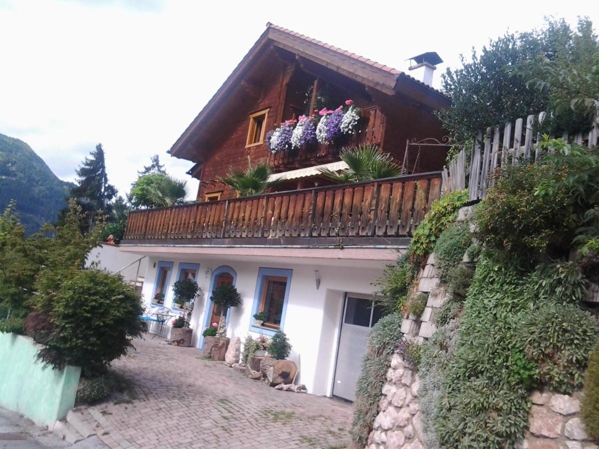 Apartment Helga - Housity