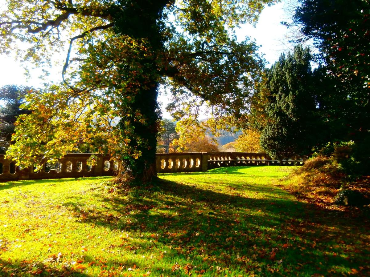 Number 6 Narrow Water Castle - Housity
