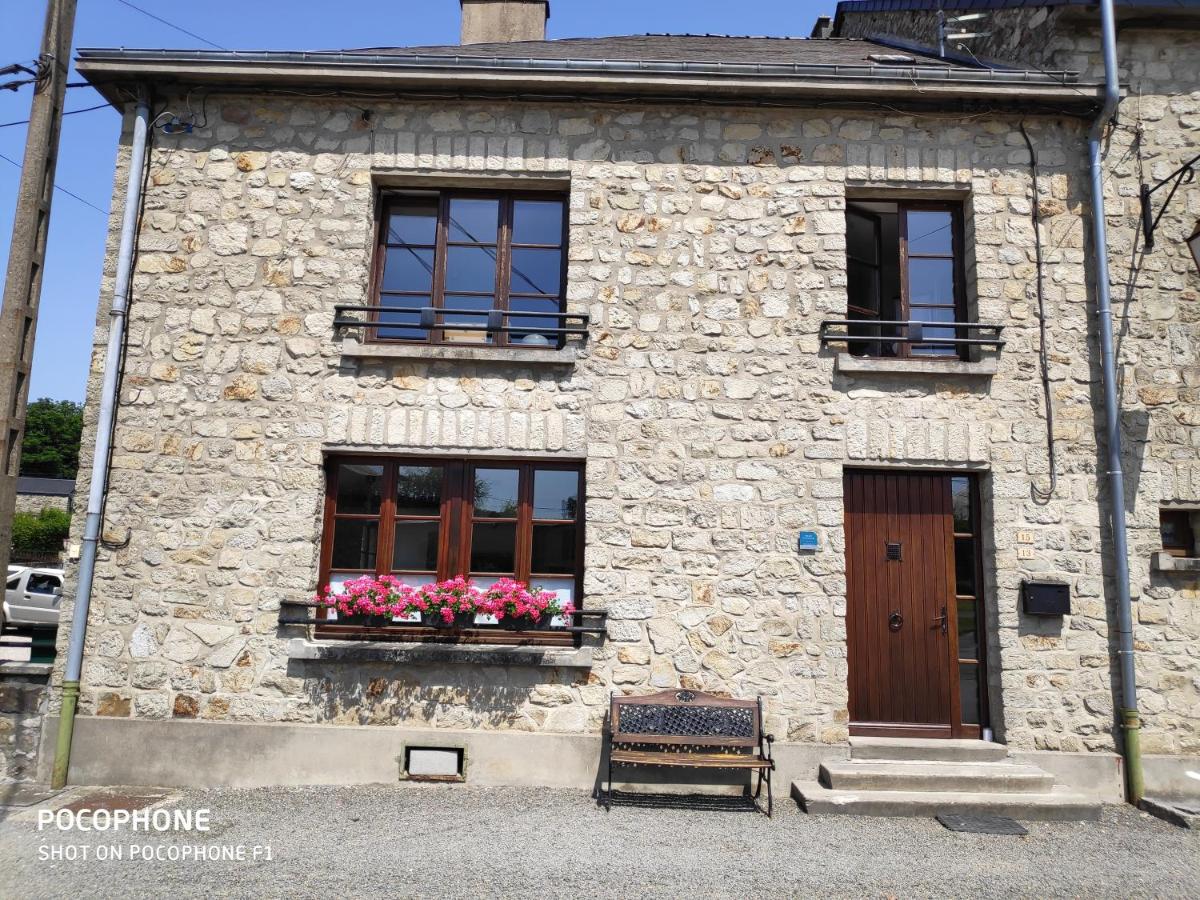 La chouette au bouleau - Housity