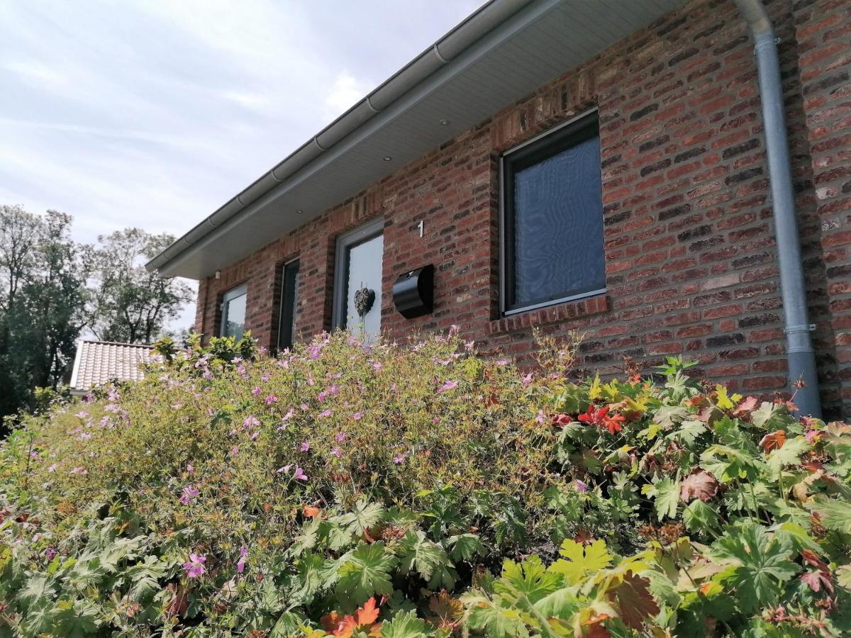 Holunder Hüsken - Housity