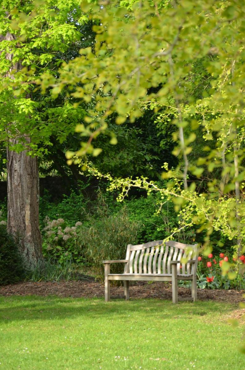 Jardin de l'établissement Chateau La Cheneviere