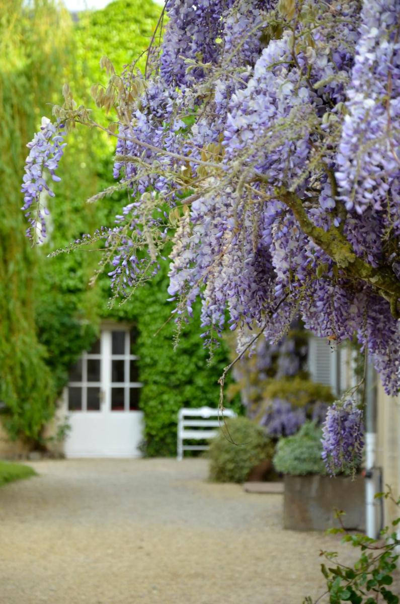 Jardin de l'établissement Chateau La Cheneviere