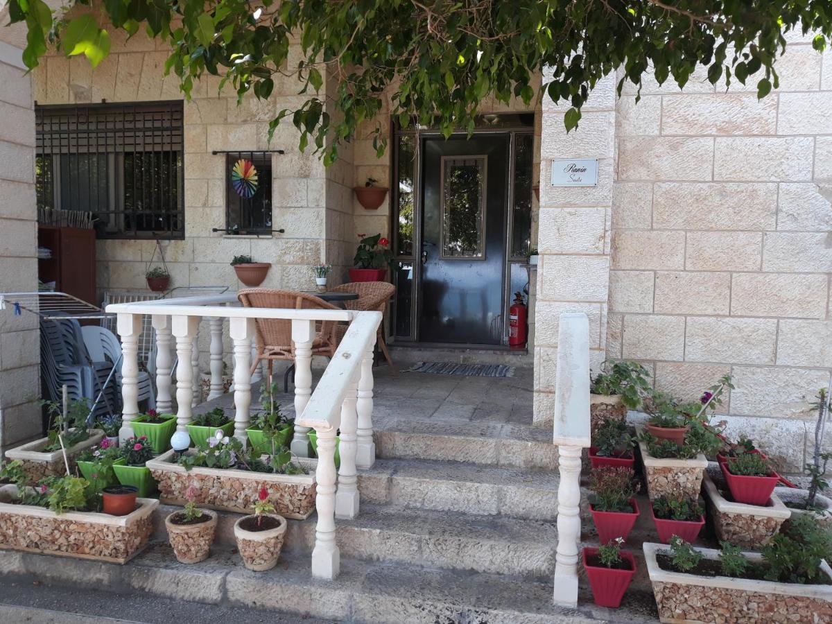 Tamer Guest house - Housity