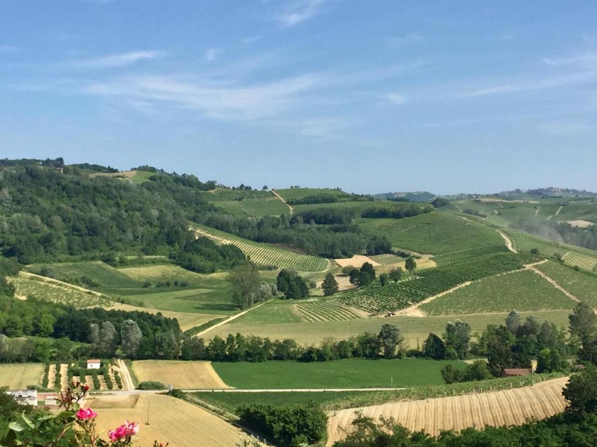 Large secluded villa, fabulous countryside views, beautiful Piedmonte landscape - Housity