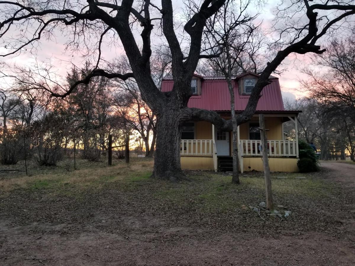 Olive Cabin - Housity
