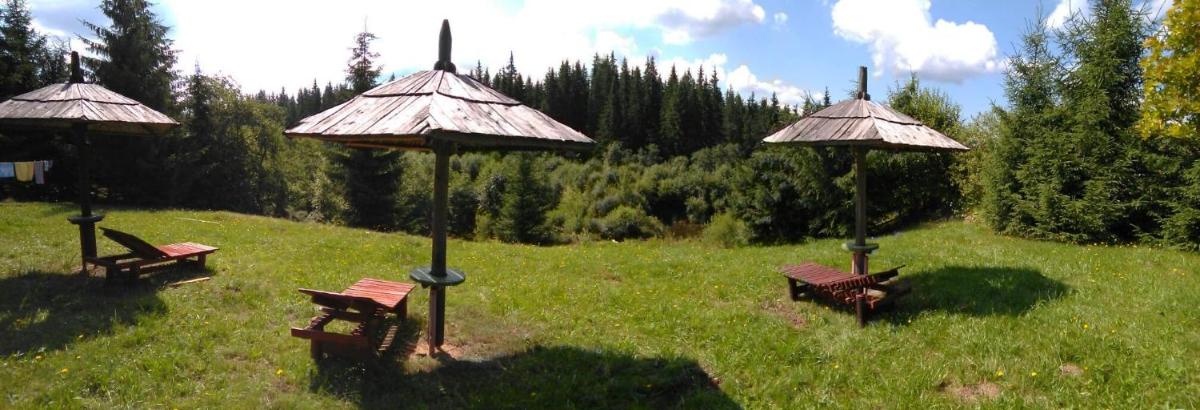 casa paltin vila si cabane - Housity