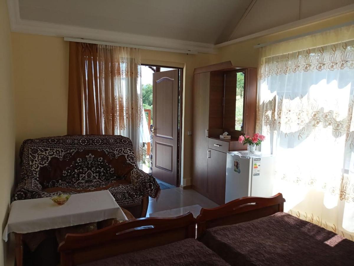 Domino-House - Housity