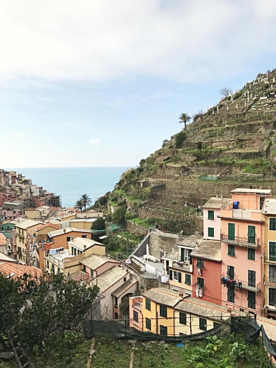 Pearl Gray House (in Manarola 5terre) - Housity
