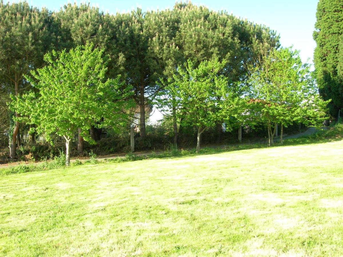 PRECIOSO CHALET EN EL CAMPO CON 9.000 METROS DE JARDIN - Housity