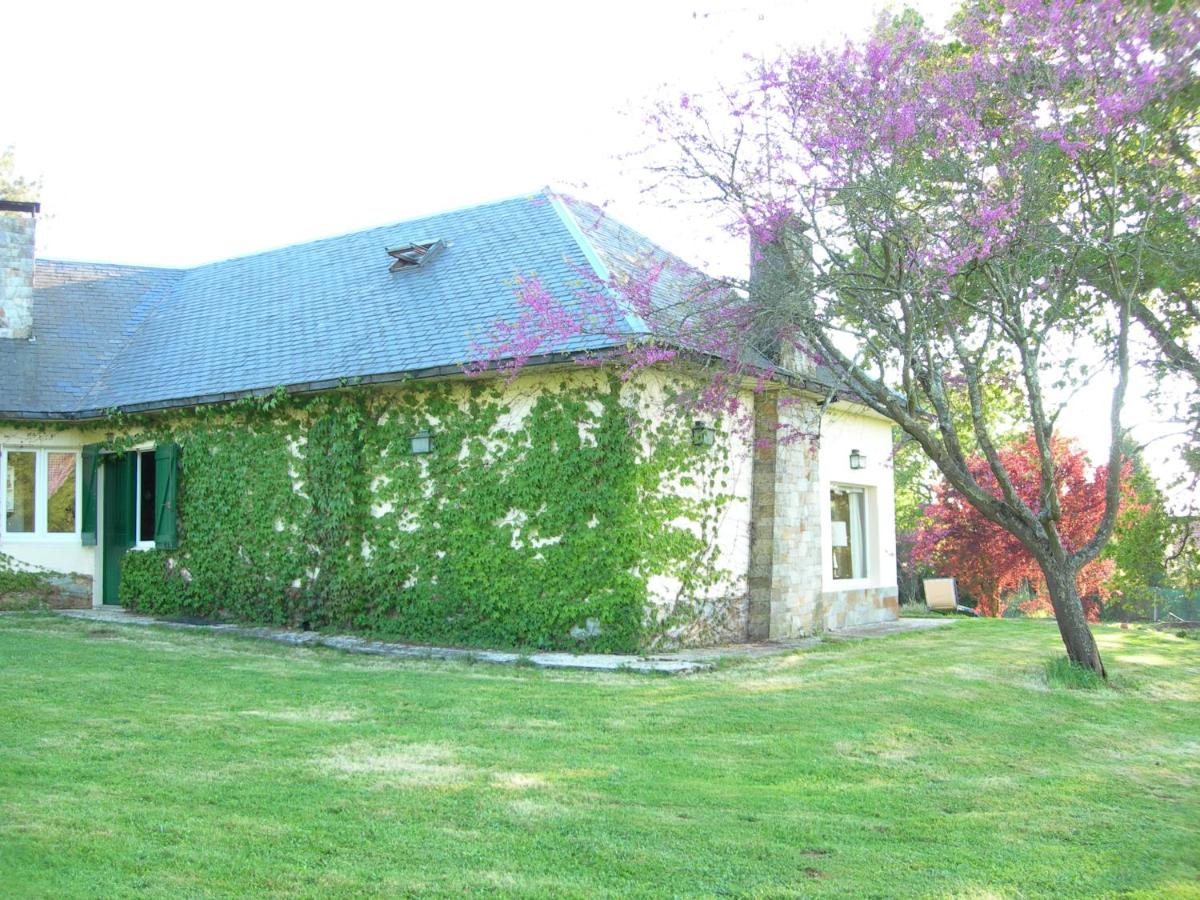 PRECIOSO CHALET EN EL CAMPO CON 9.000 METROS DE JARDIN - Housity