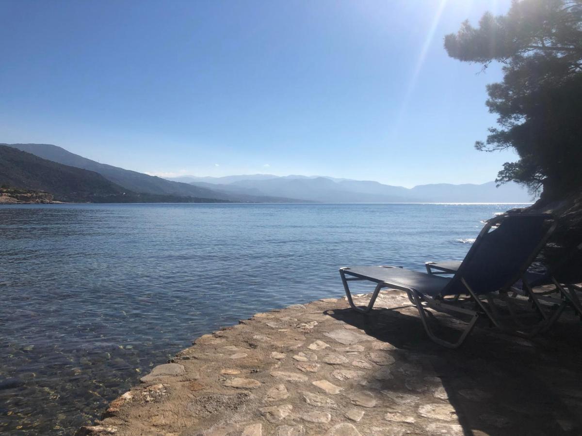 Studios Limnionas - Housity