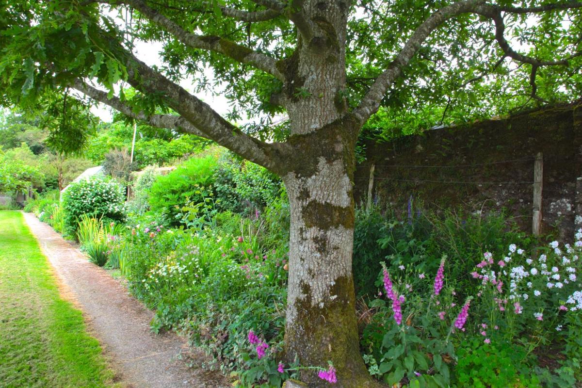 Willowhill House - Housity