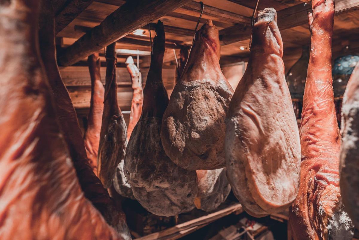 Animaux dans l'hôtel ou à proximité