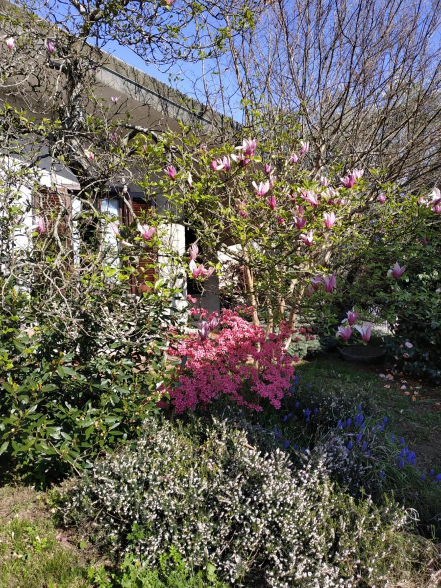 La Maison Blanche - Housity