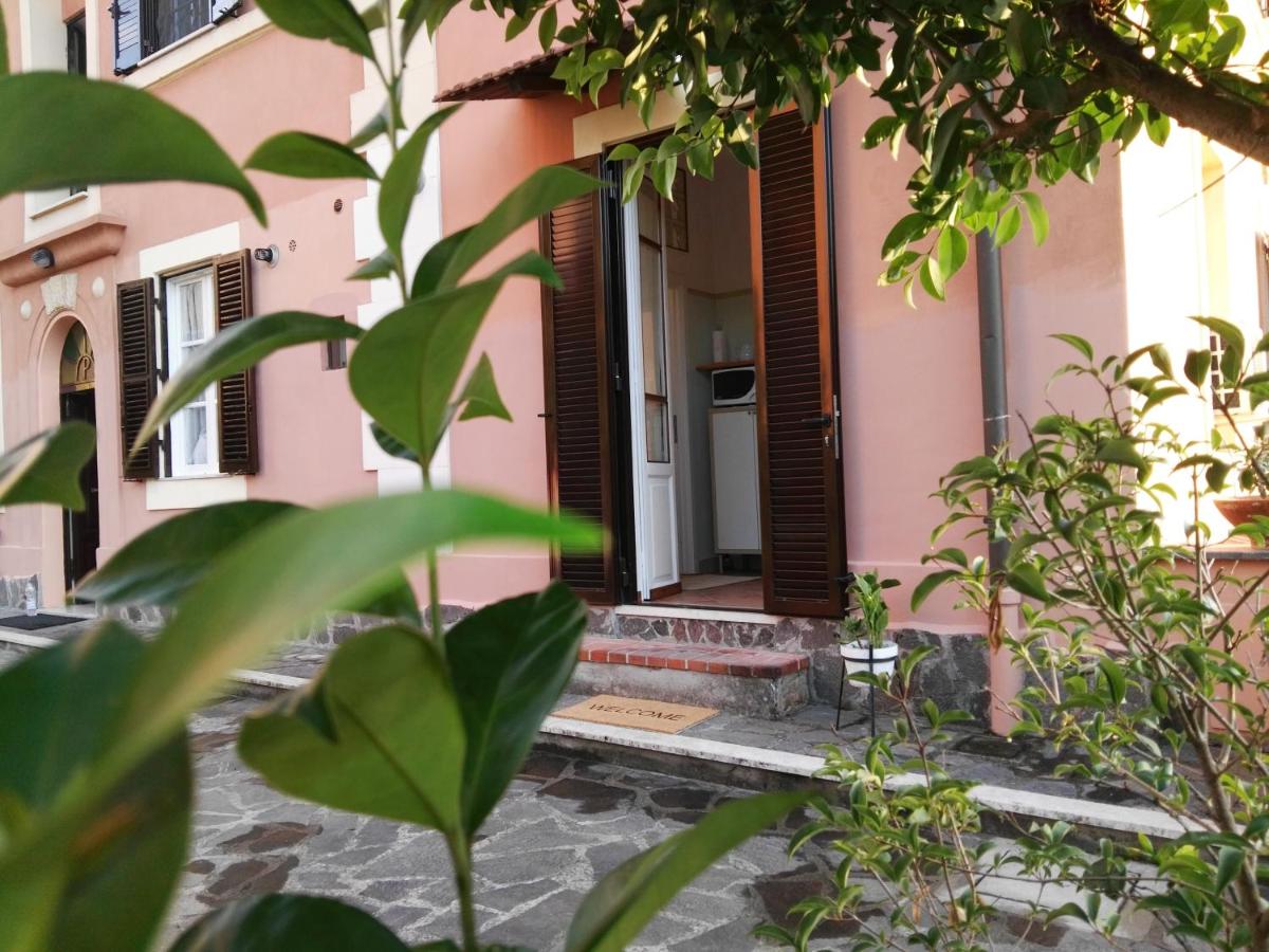 Piramide Gold - Housity