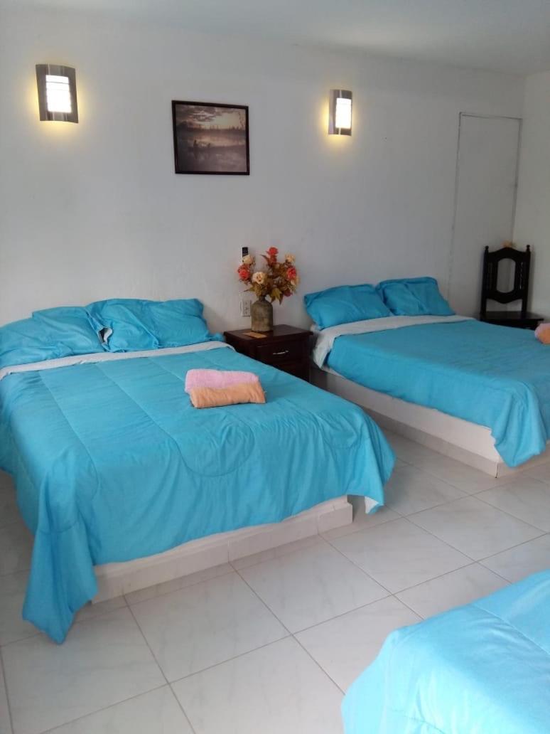 Hotel Playa Krystal - Housity