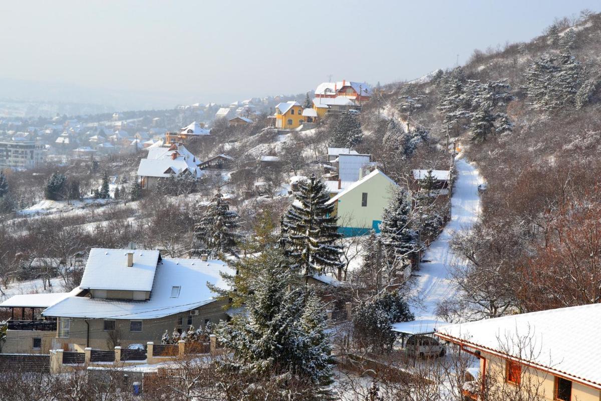 Anna Apartment - Housity