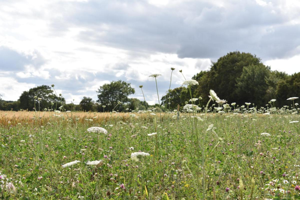 The Fieldbarns at Bullocks Farm - Housity