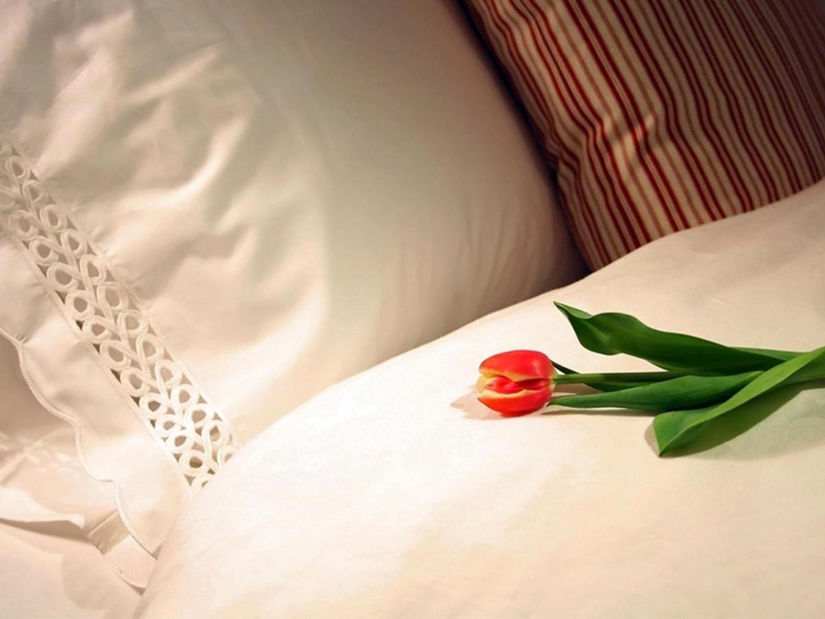Cama o camas de una habitación en Blau Hotel Las Caldas