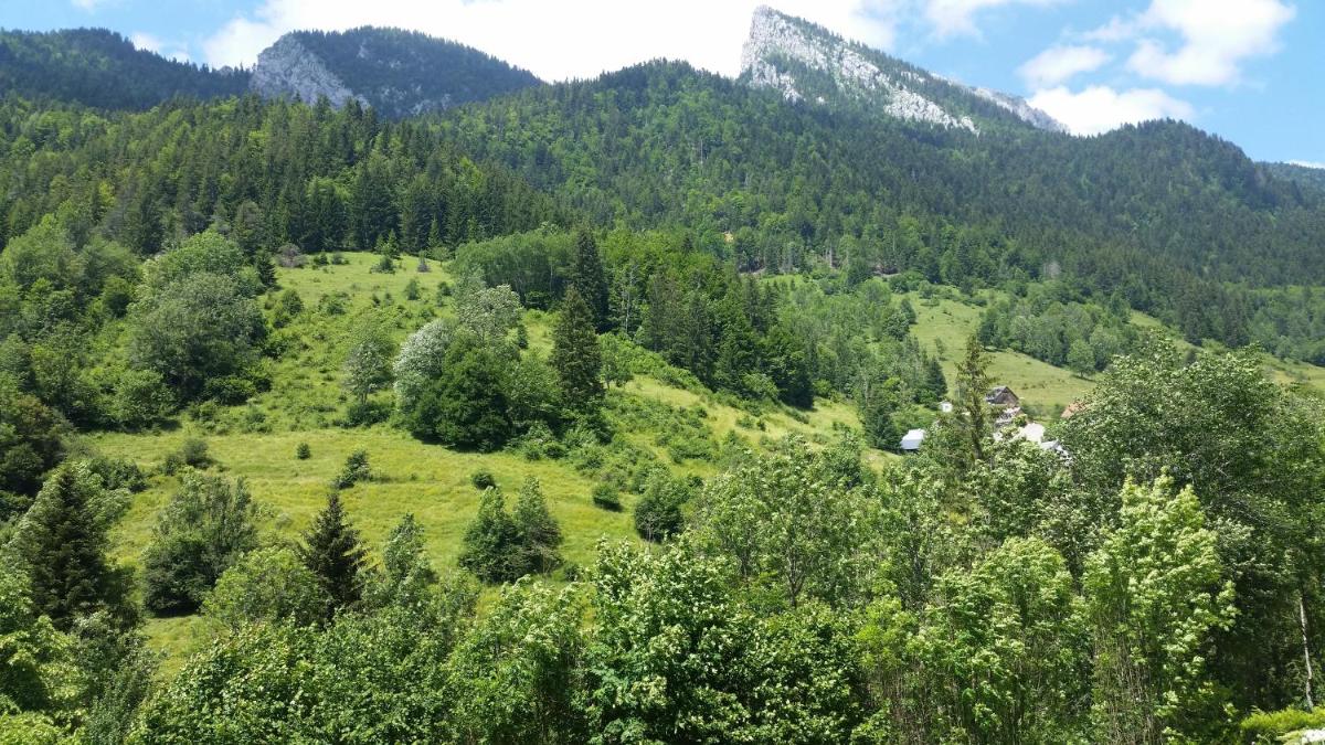 Suitetrails - Studio Rez de Jardin