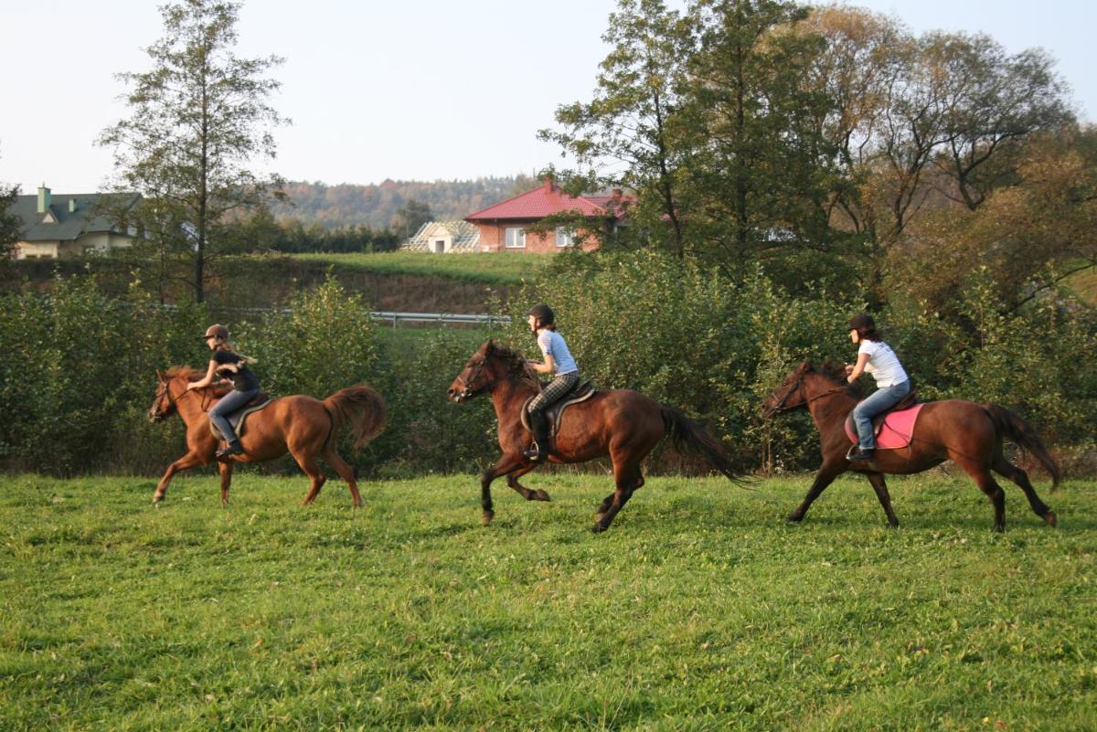 Świerkowe Rancho - Housity