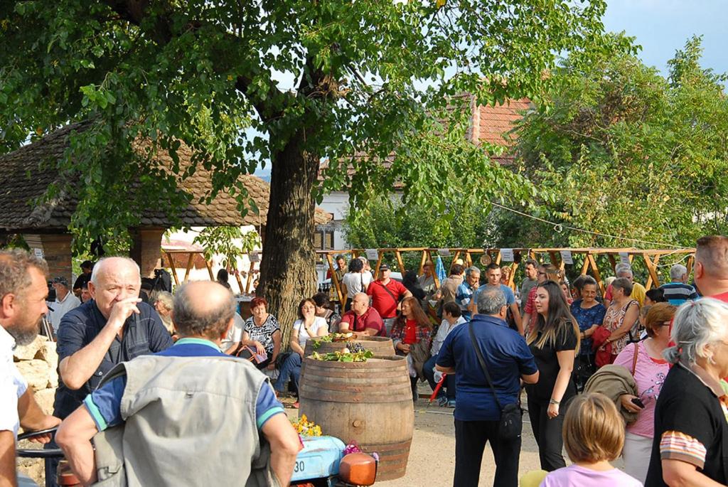 Pivnice Radosavljević - Ljubina pivnica - Housity
